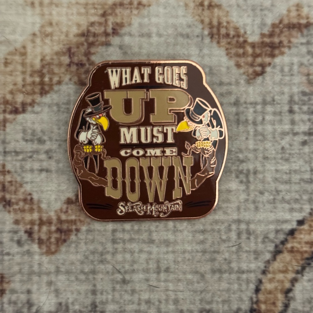 Splash Mountain Collectible Pin - What Goes Up Must Come Down